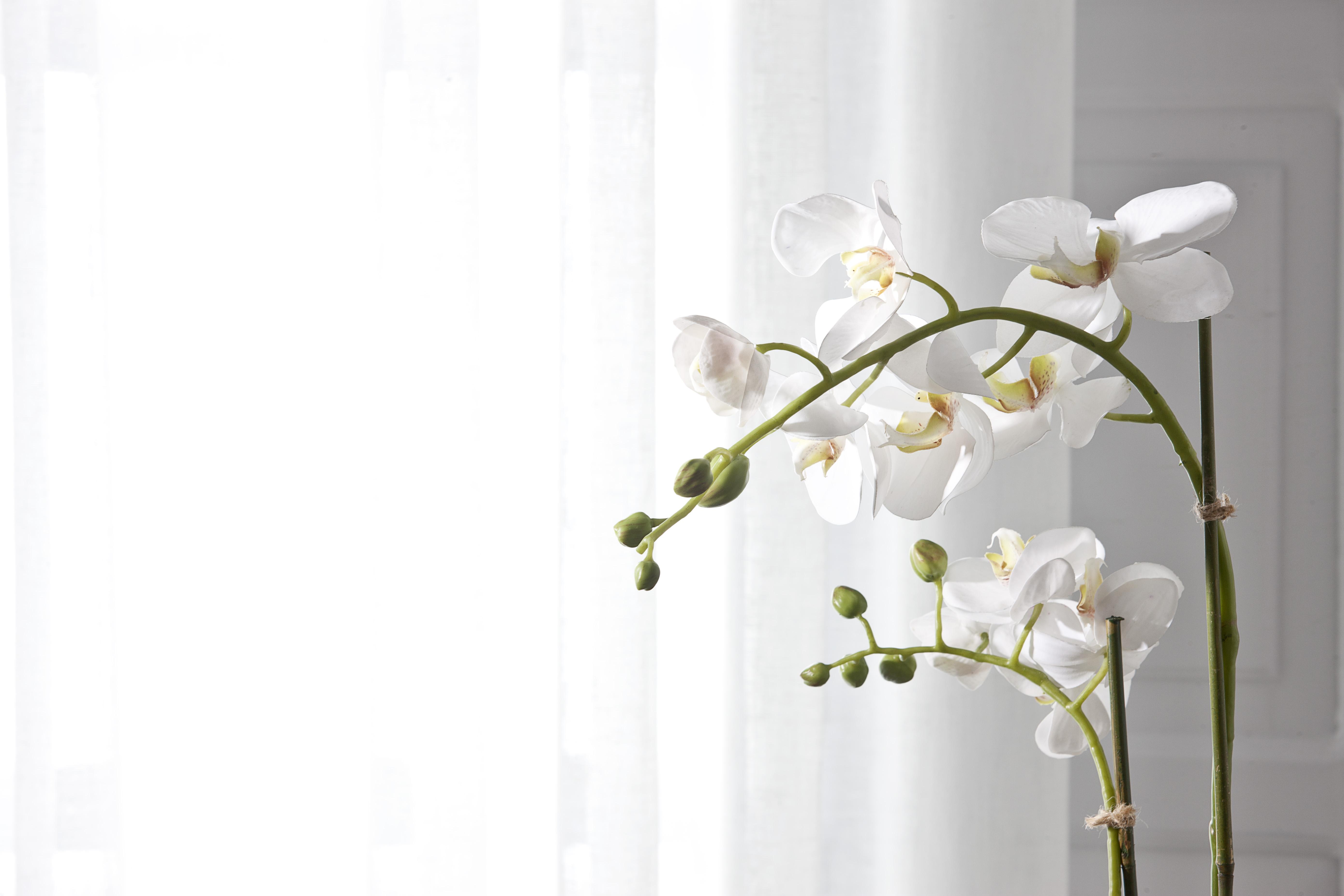 Belvedere Suites Firostefani Bagian luar foto